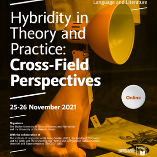 Hybridity